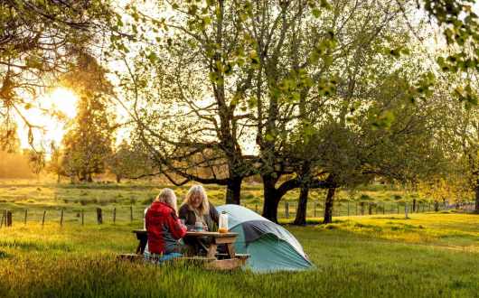 Unpowered Sites – Grass (Tent Only)