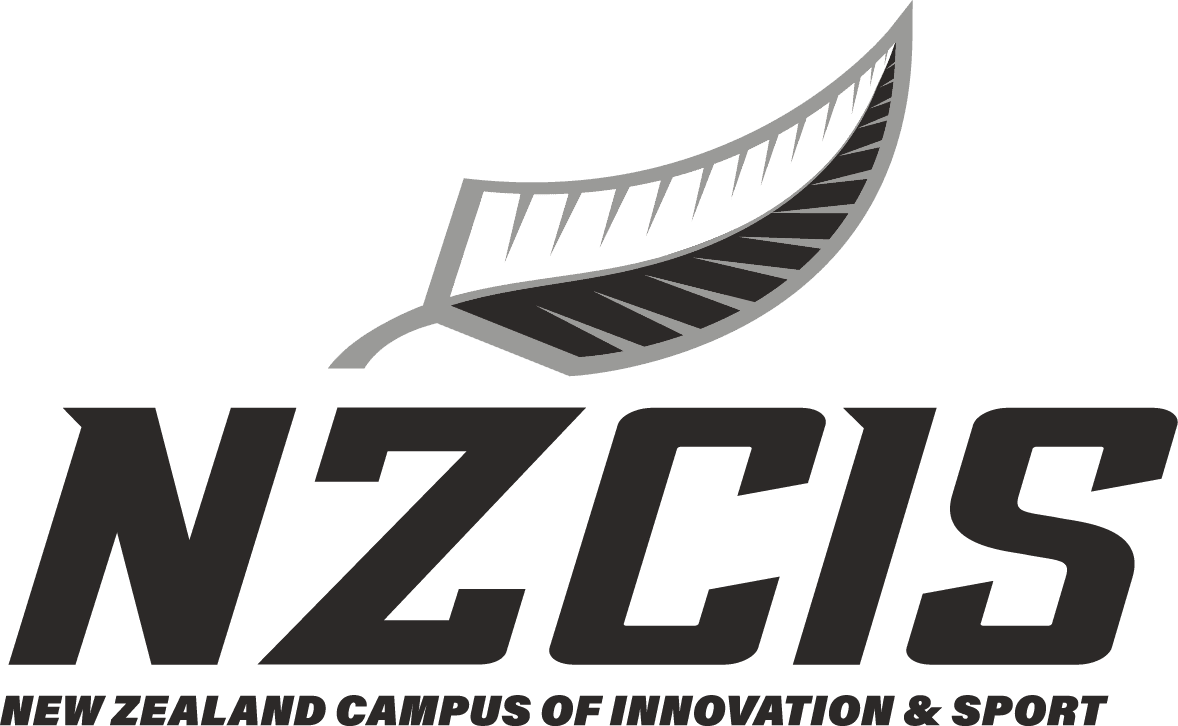 NZCIS Limited Logo